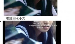 摆烂吃瓜娱乐圈文,吃瓜群众围观明星“躺平”记